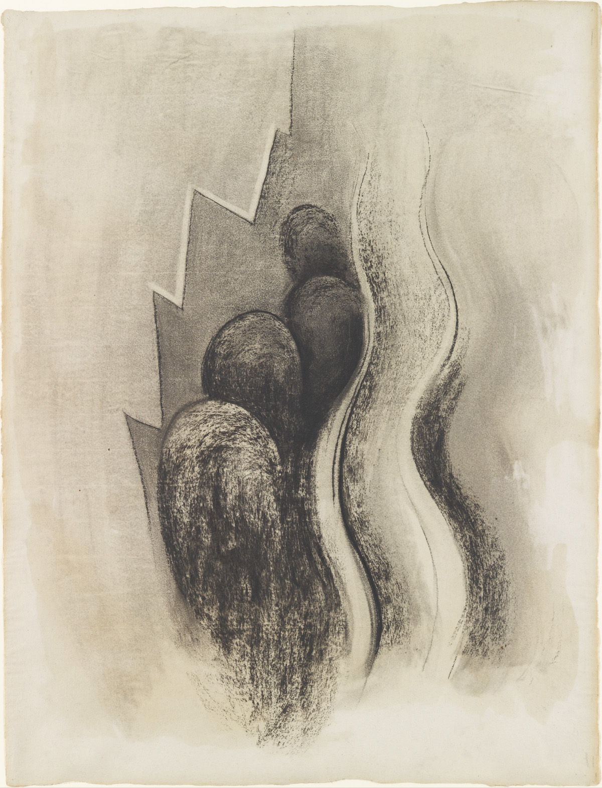 Charcoal drawing. Jagged forms, long, bulb-like shapes, and wavy lines are layered up along the center of this cream-white paper in this vertical drawing. A zig-zagging line to our left is filled in with solid medium gray to make a serrated form. Four tall, finger-like mounds clustered next to it, to our right, are darker, almost black. Some strokes of charcoal are visible, especially on the shape closest to us. Wavy lines create an outline for a form like a river to our right, which is shaded lightly but mostly white. The paper is smudged around the collection of forms.