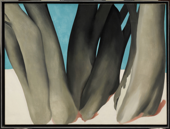 Painting. Three clusters of ash-brown and charcoal-gray, smooth, stylized tree trunks nearly fill this horizontal canvas. The ground below the trees is eggshell white, and blue sky fills in the top half. The surface of the trunks are smooth and curve gently, like bones. Their rounded bases are near the bottom edge of the canvas, and the trunks extend off the top edge. A cluster of three ash-brown trunks is to our left and a gray pair behind it at the center. One larger brown trunk to our right has a band of the white up the lower center, suggesting drifting snow. There are touches of muted brick red around the bottoms of the trunks.