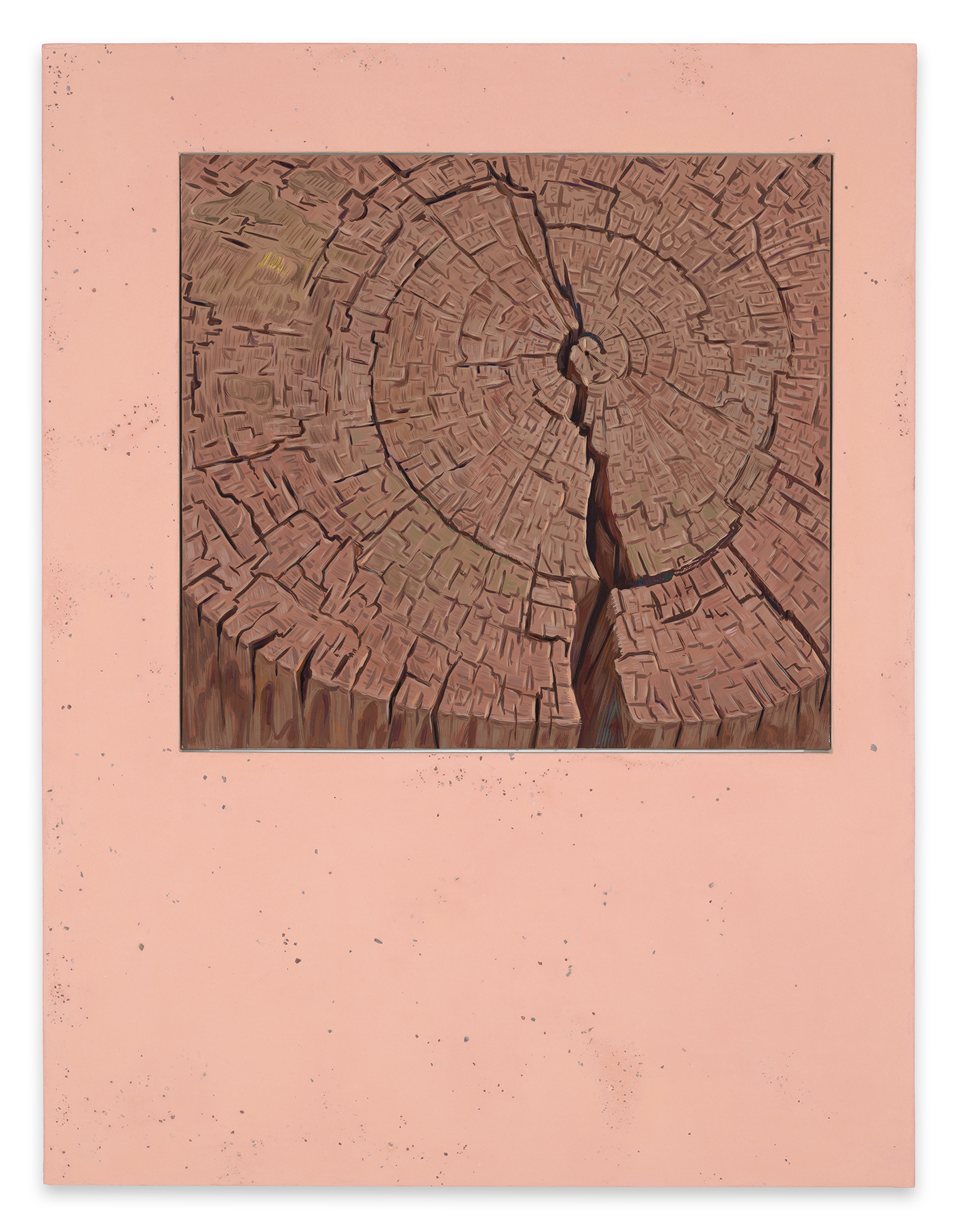 This image shows a painting which is framed in a pigmented pastel pinkish beige panel that includes fragments of earth and rocks from the sites where the paintings were made. The painting draws the viewer downward into a closeup of view of the circular rings of a red fir stump as if it were a cracked sundial. The top of the stump consumes the picture frame with its flatness and multiple fissures percolating through the concentric surface.  There is a large cavernous split down the center of the desiccated wood.   The creation of a three-dimensional stump is articulated with a vertical curved painted band at the bottom of the painting to represent the side of the stump. All of the fissures are painted as little short cleaves and cracks, like hack marks in the surface, in a color range from dark browns, beige browns, beige pinks, greens, yellows and occasional blue marks.
